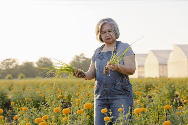 What's the Best Method for Removing Old Vinyl Wraps Without Damaging Car Paint?