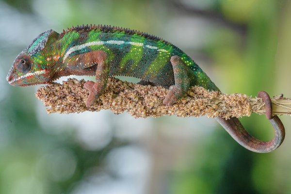 What Are the Best Plants to Grow in a Bathroom with Low Light?